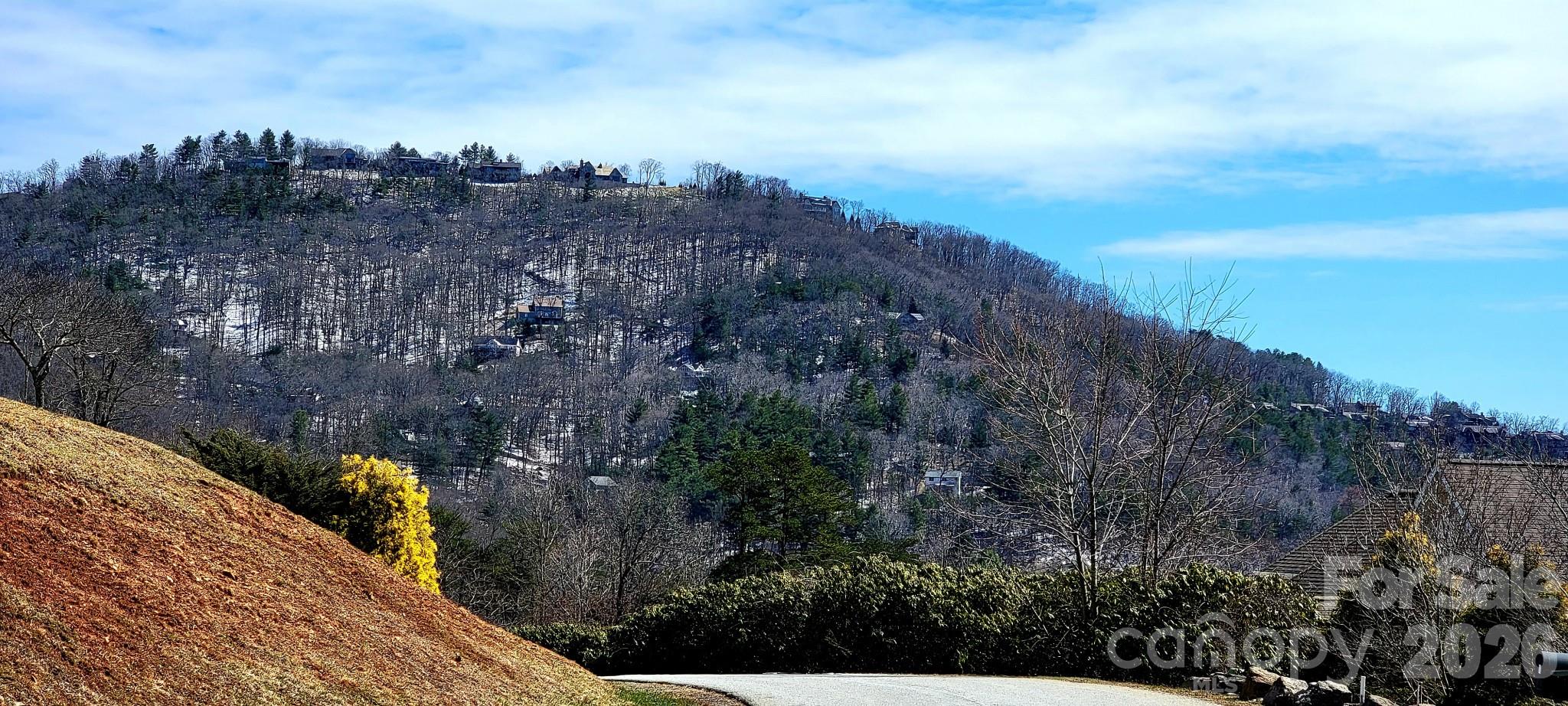 8 English Hills Drive Asheville NC 28804
