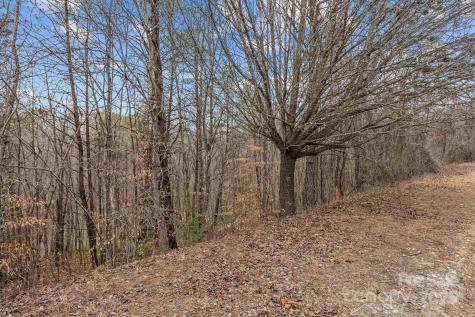 Lot 102 Glenhaven Drive Marion NC 28752