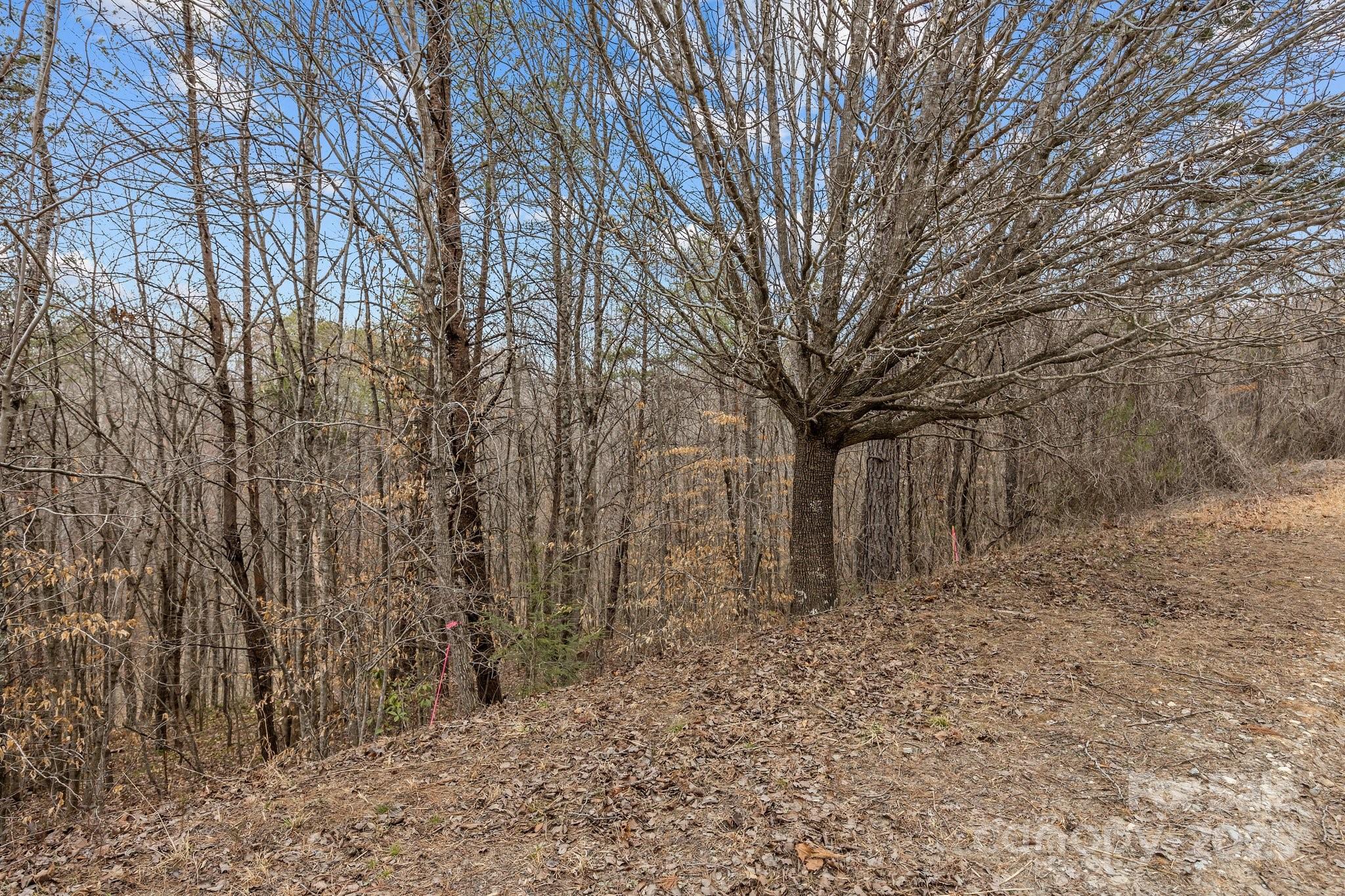 Lot 102 Glenhaven Drive Marion NC 28752