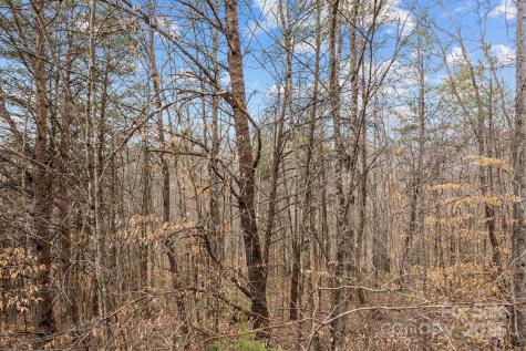 Lot 102 Glenhaven Drive Marion NC 28752