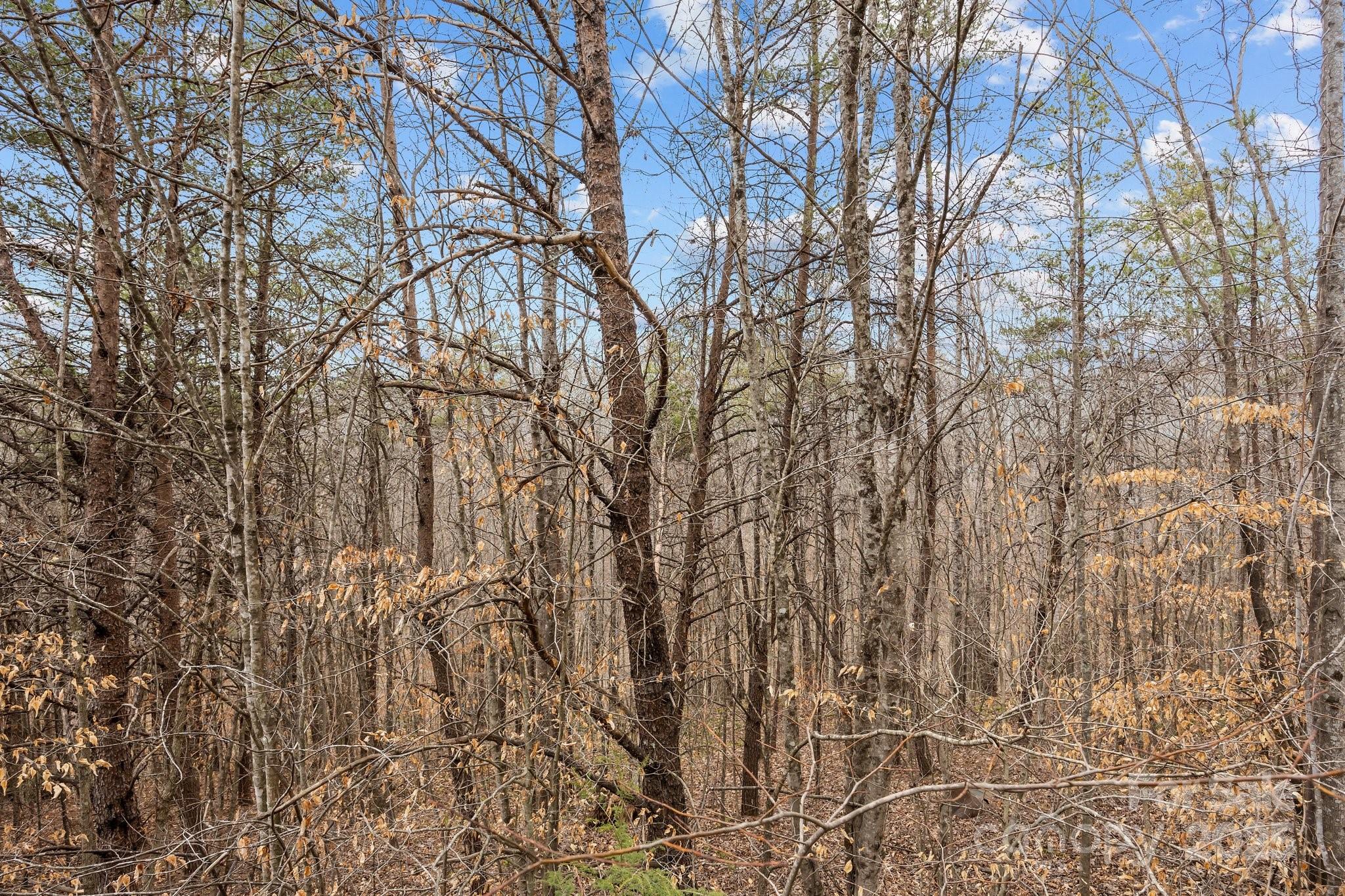 Lot 102 Glenhaven Drive Marion NC 28752