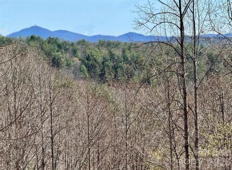 Lot 42, Round Mountain Parkway Lenoir NC 28645