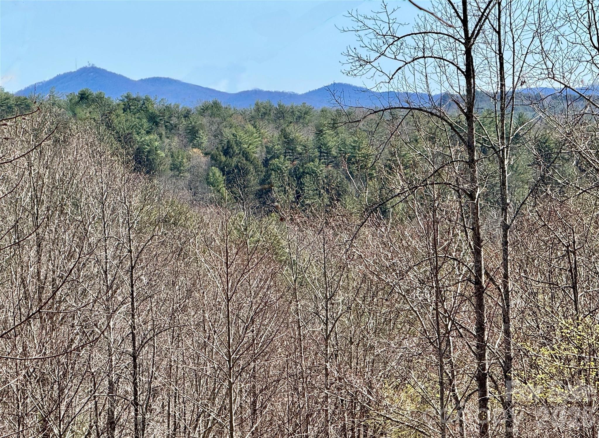 Lot 42, Round Mountain Parkway Lenoir NC 28645