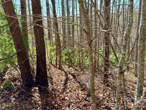 Lot 42, Round Mountain Parkway Lenoir NC 28645