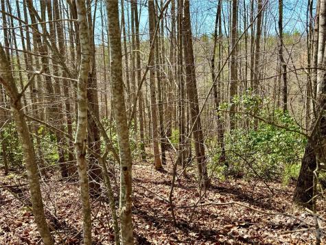 Lot 42, Round Mountain Parkway Lenoir NC 28645