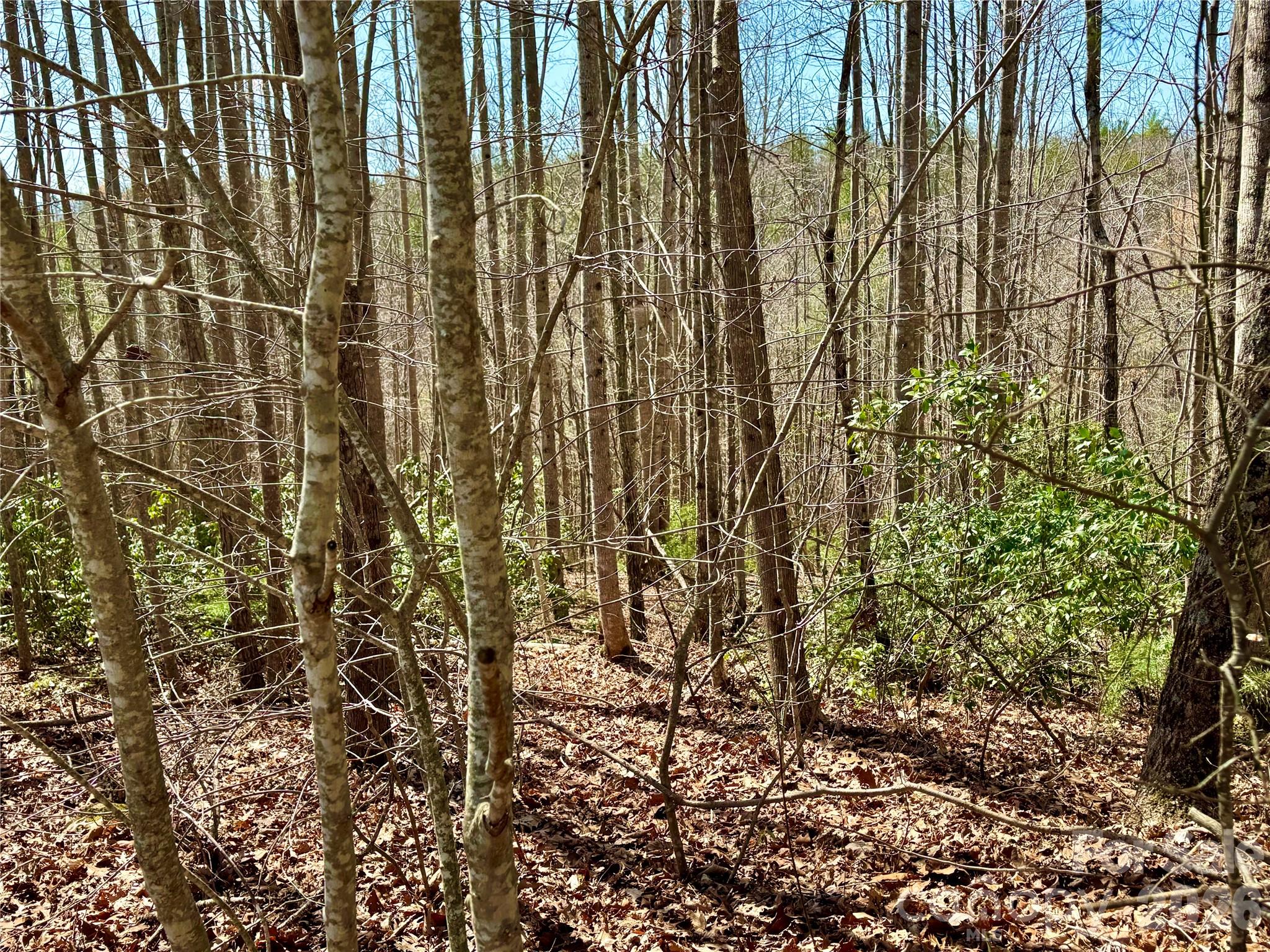 Lot 42, Round Mountain Parkway Lenoir NC 28645