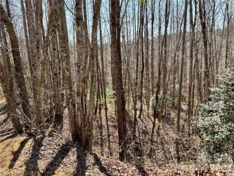 Lot 42, Round Mountain Parkway Lenoir NC 28645