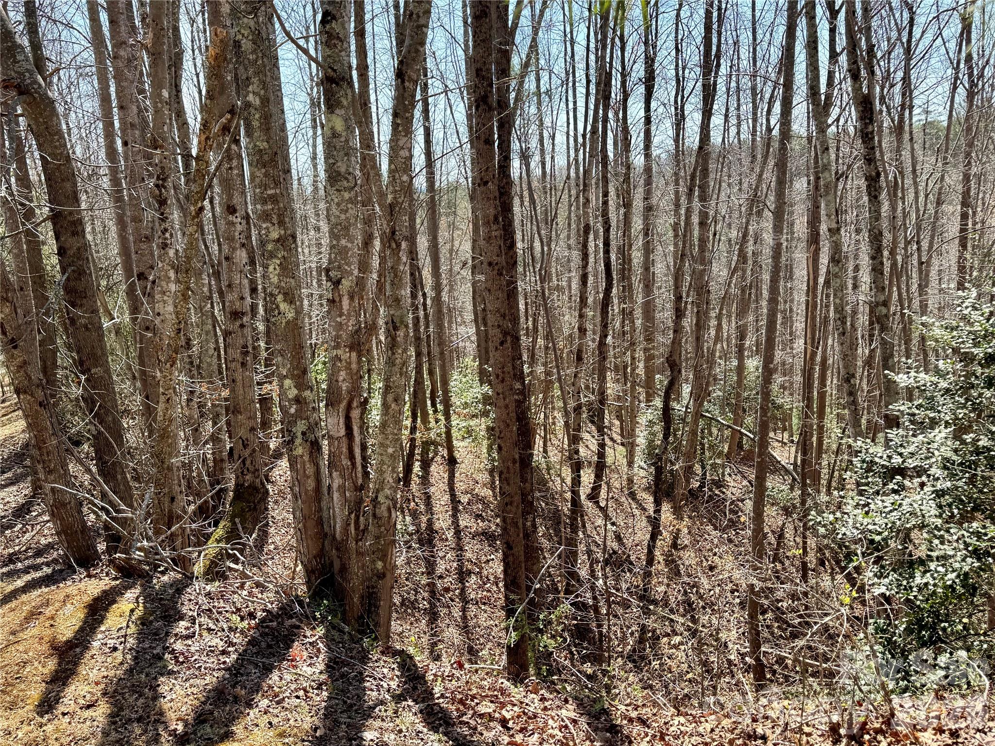 Lot 42, Round Mountain Parkway Lenoir NC 28645