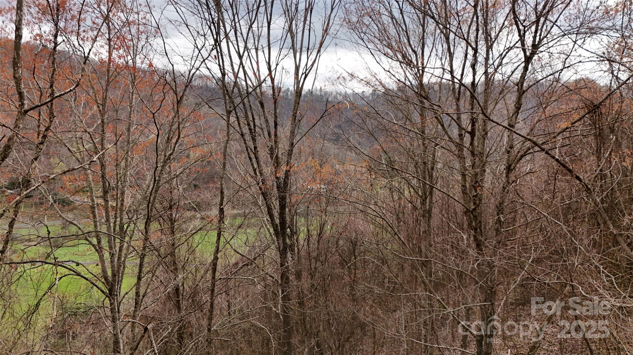 380 Serenity Mountain Lane Mars Hill NC 28754