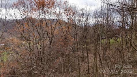 380 Serenity Mountain Lane Mars Hill NC 28754