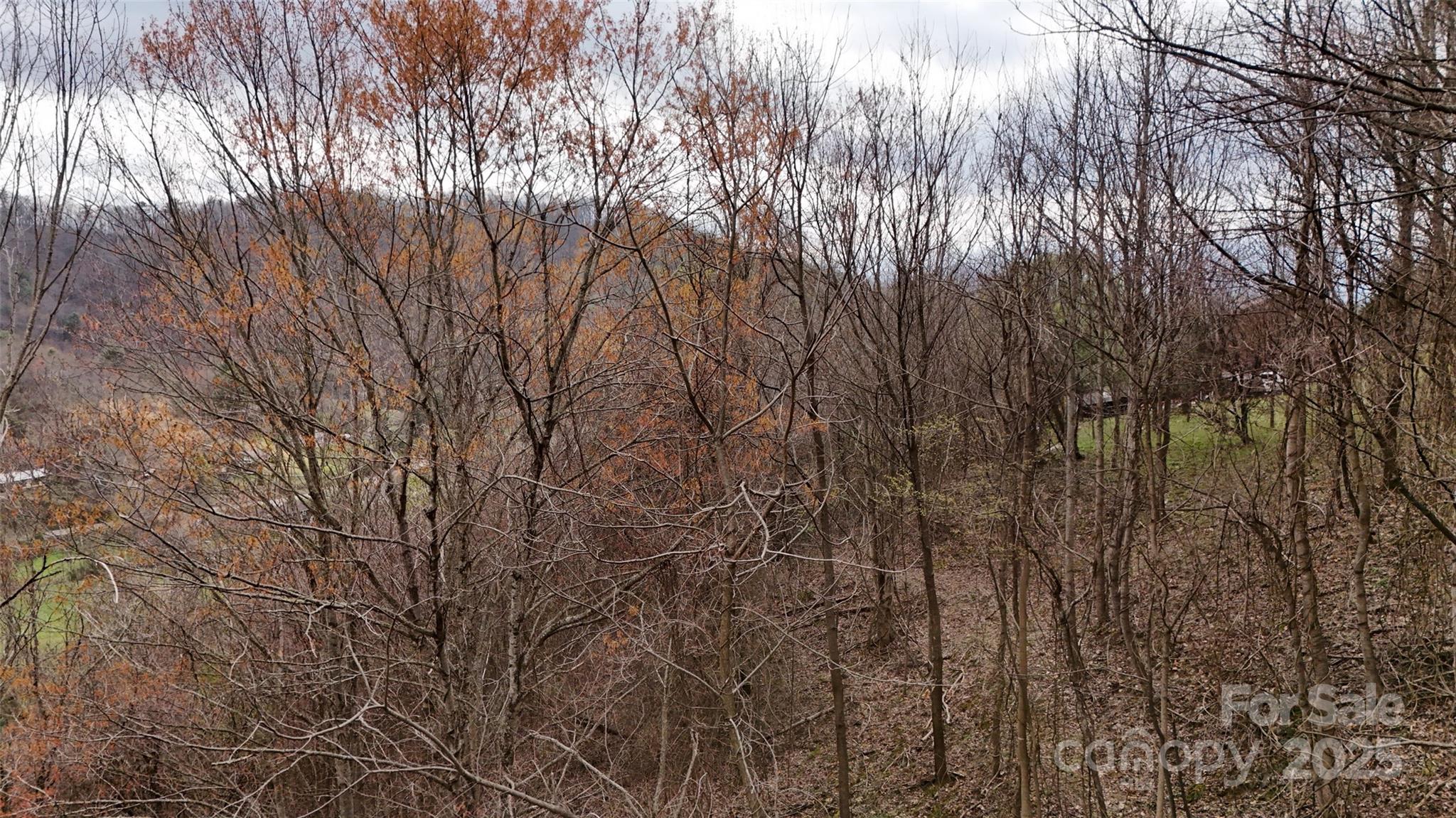 380 Serenity Mountain Lane Mars Hill NC 28754
