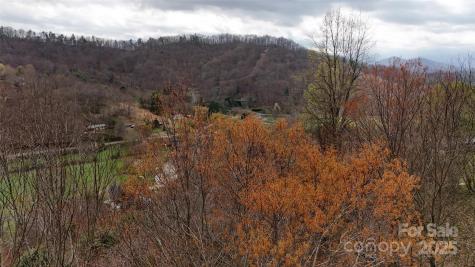 380 Serenity Mountain Lane Mars Hill NC 28754