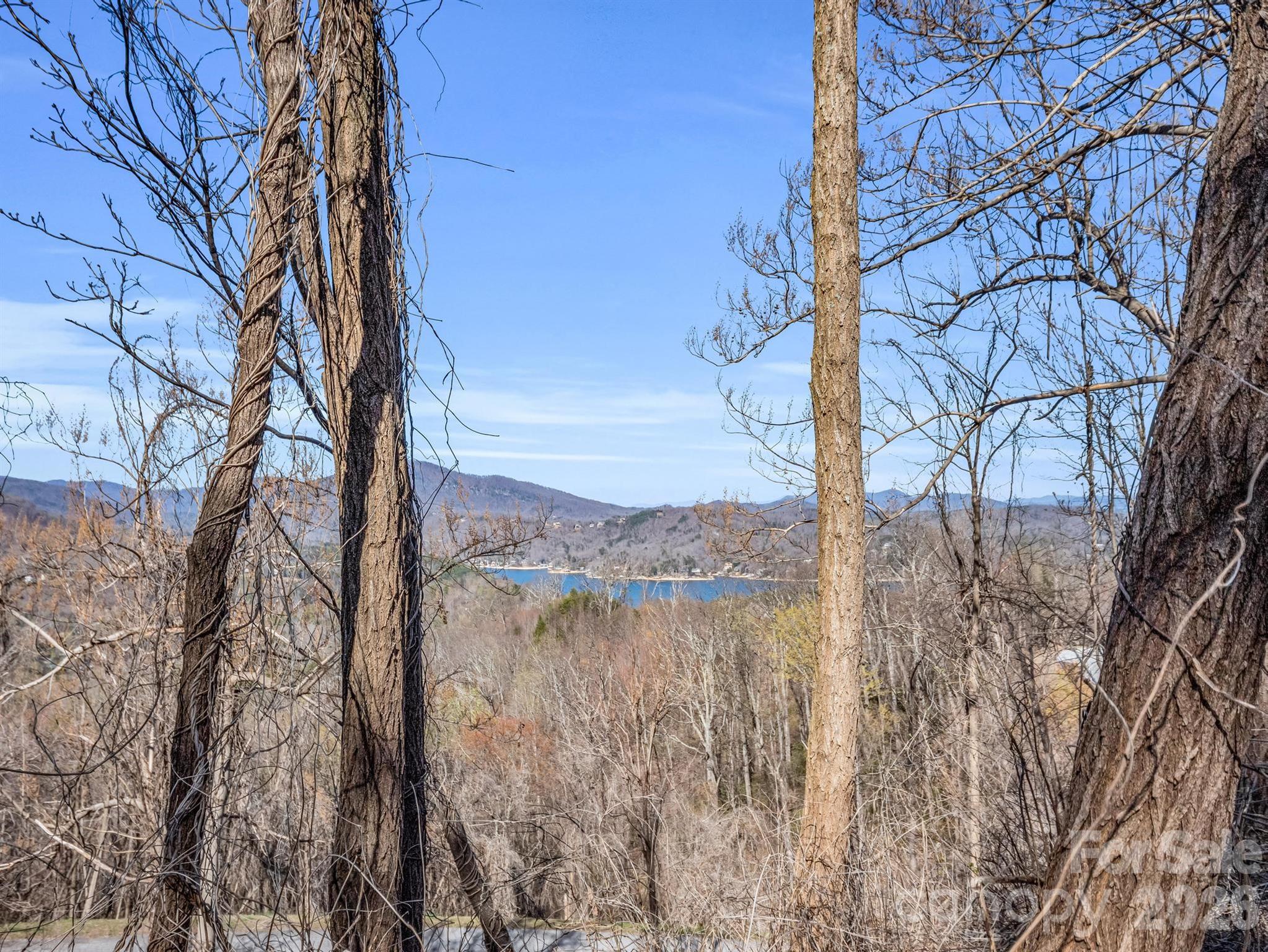 0 Clear Creek Trail Lake Lure NC 28746
