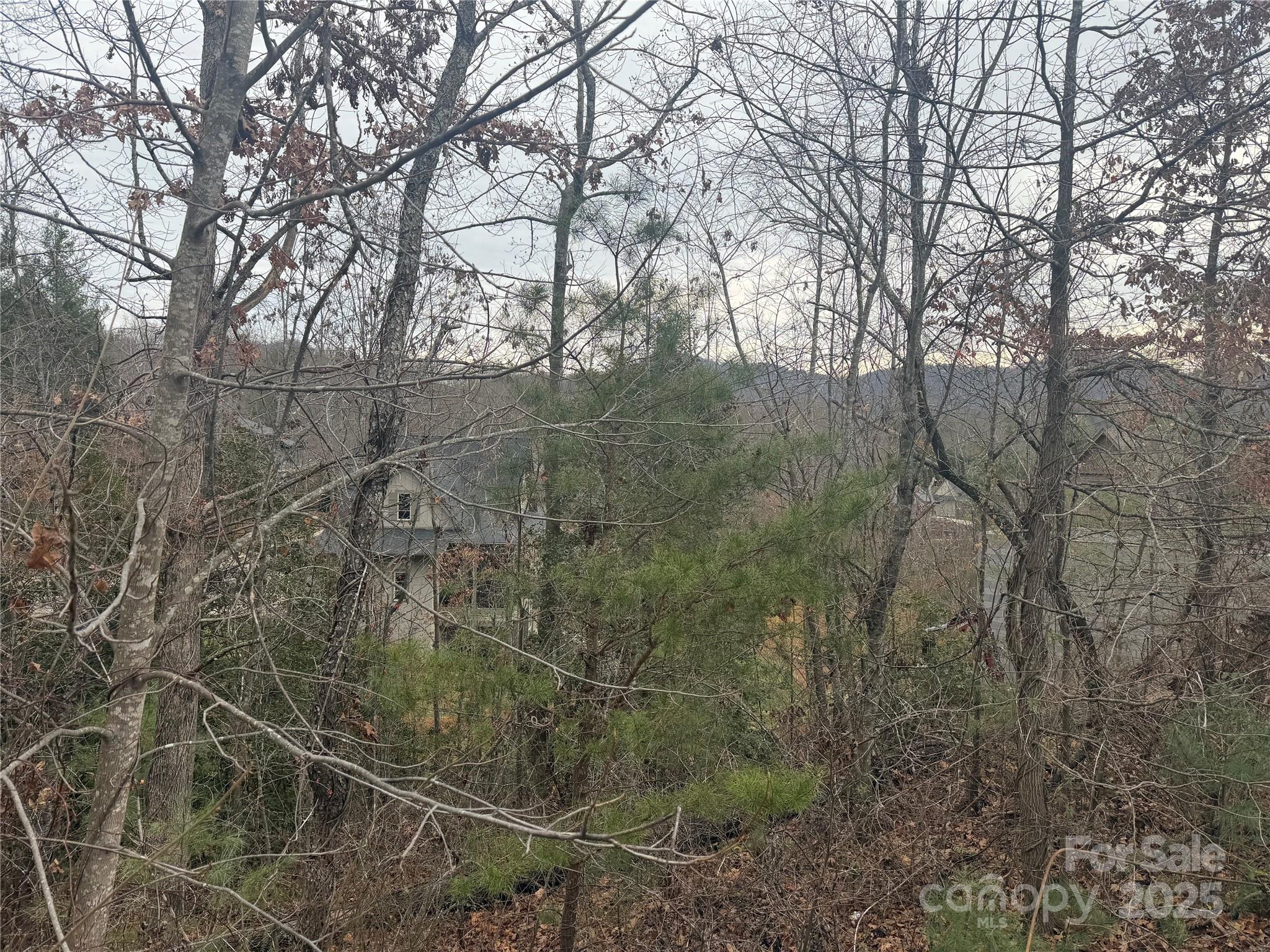 51 Versailles Lane Asheville NC 28804