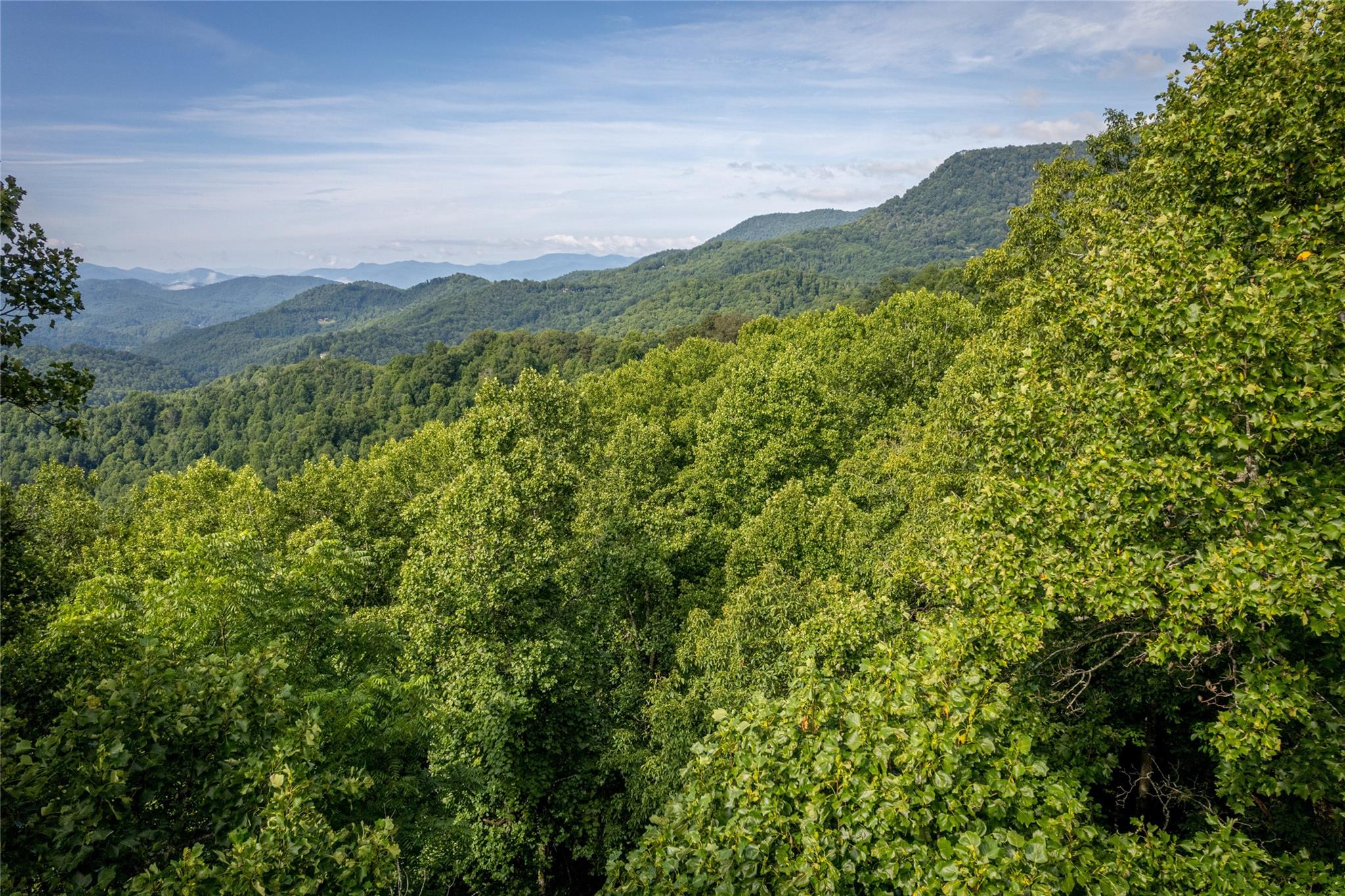 8 Resurrection Lane Sylva NC 28779