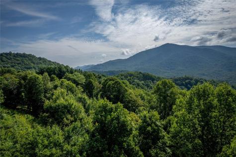 8 Resurrection Lane Sylva NC 28779