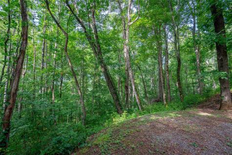 8 Resurrection Lane Sylva NC 28779