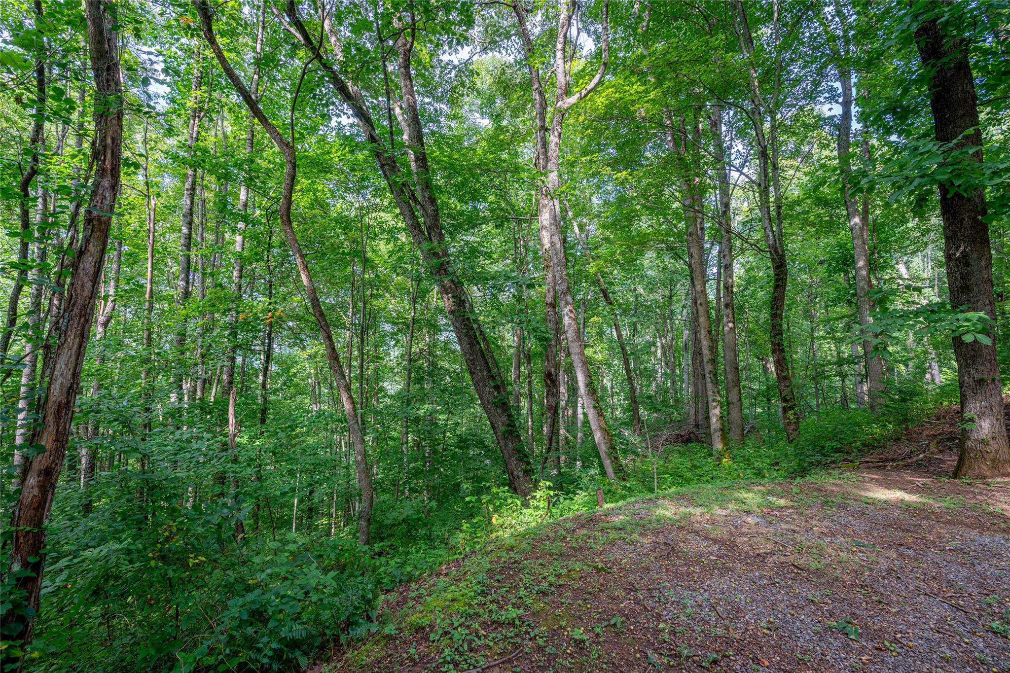 8 Resurrection Lane Sylva NC 28779