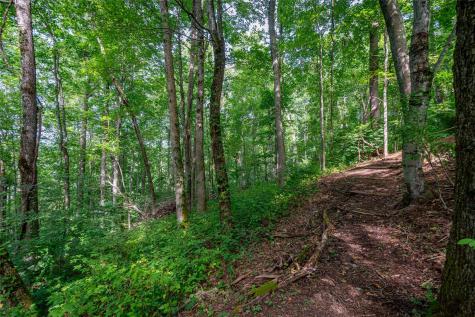 8 Resurrection Lane Sylva NC 28779
