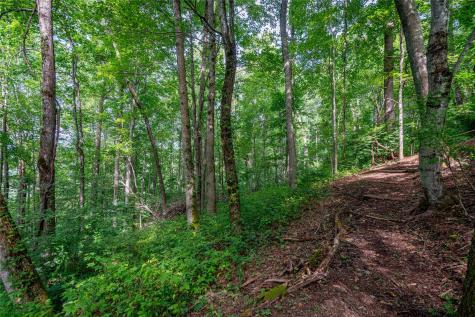 8 Resurrection Lane Sylva NC 28779
