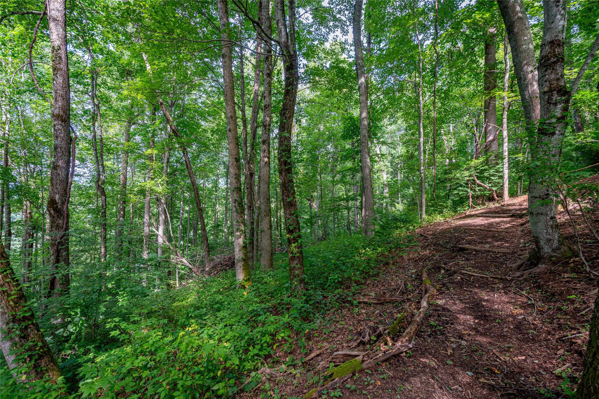 8 Resurrection Lane Sylva NC 28779