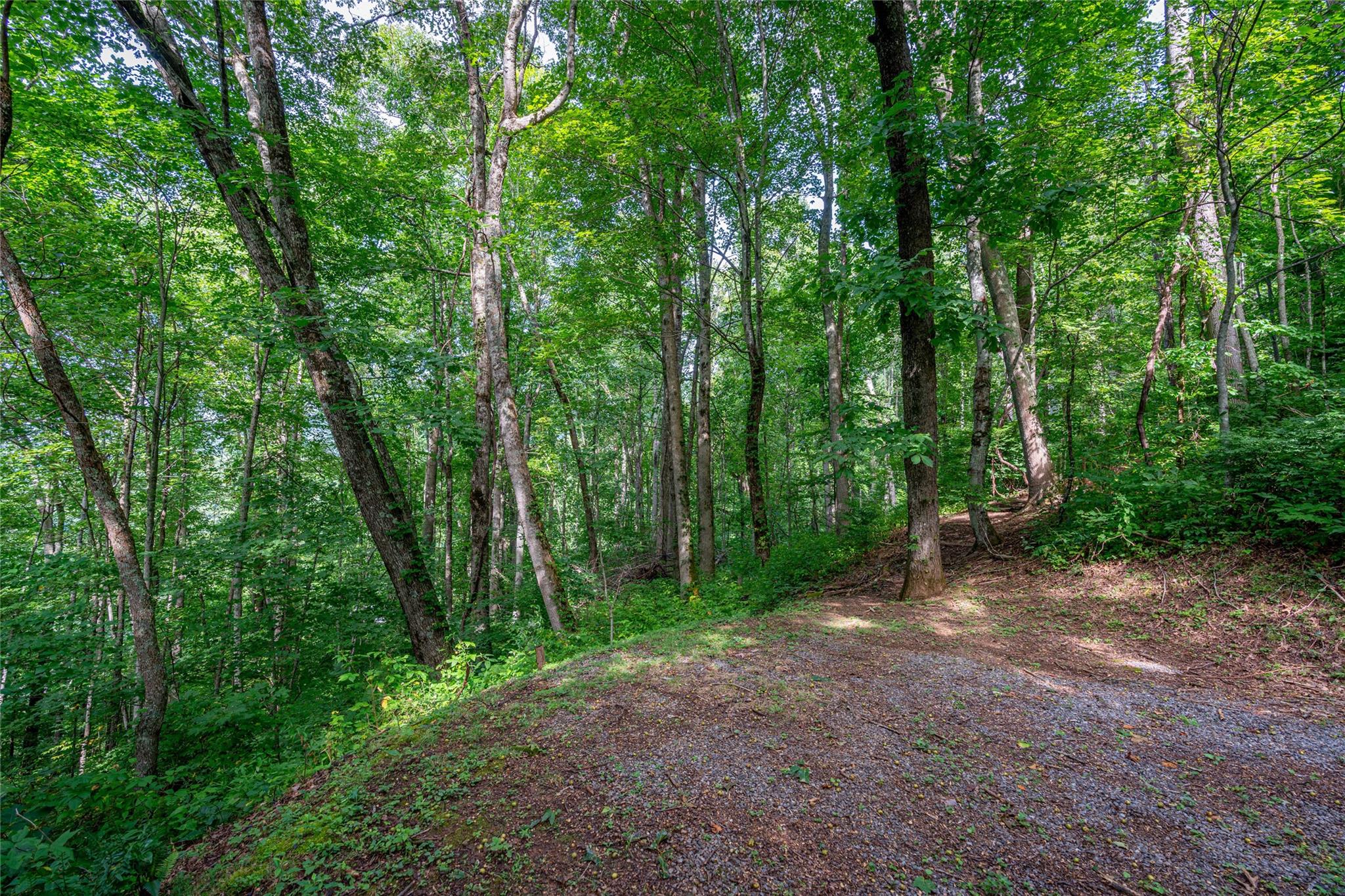 8 Resurrection Lane Sylva NC 28779