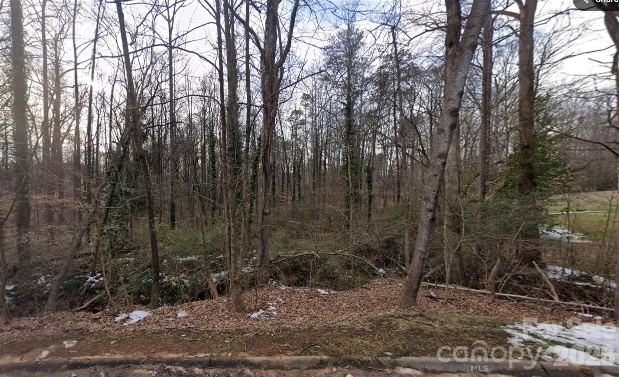 0 Briarcliff Road Rockwell NC 28138