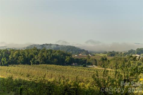 Tbd Old Clear Creek Road Hendersonville NC 28792