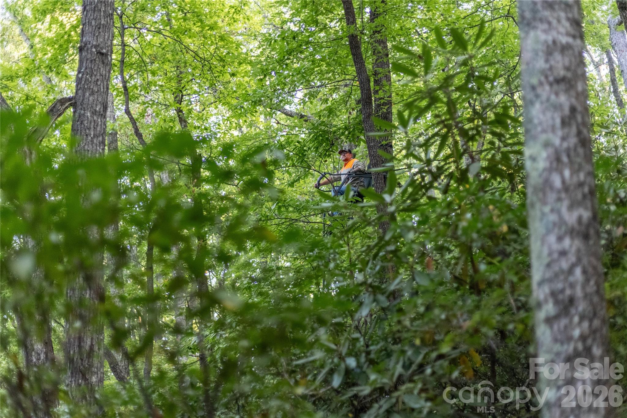Tbd Old Clear Creek Road Hendersonville NC 28792