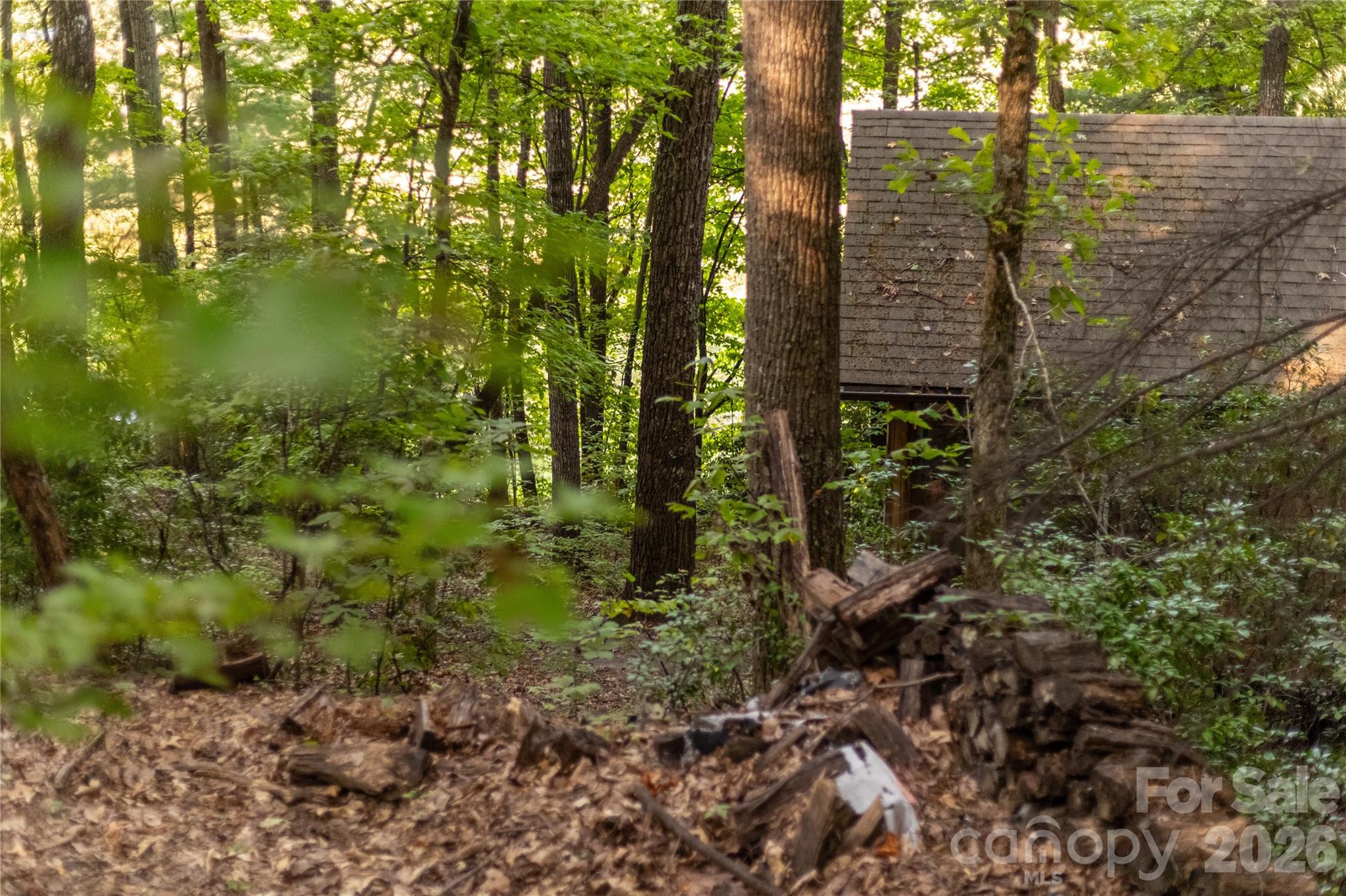 Tbd Old Clear Creek Road Hendersonville NC 28792