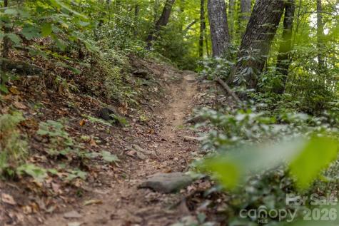 Tbd Old Clear Creek Road Hendersonville NC 28792