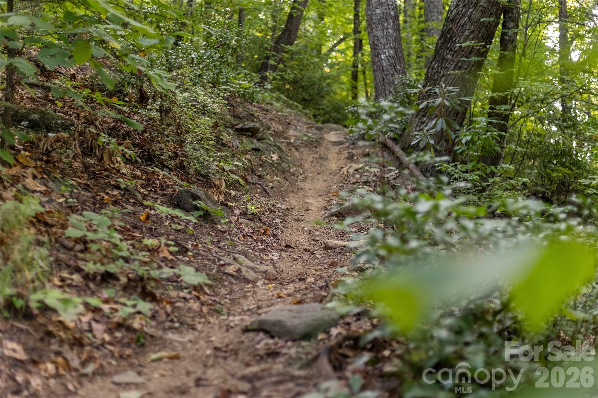 Tbd Old Clear Creek Road Hendersonville NC 28792