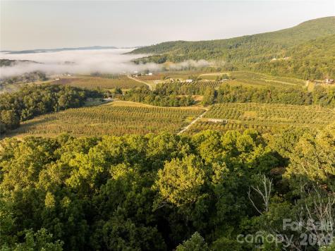 Tbd Old Clear Creek Road Hendersonville NC 28792