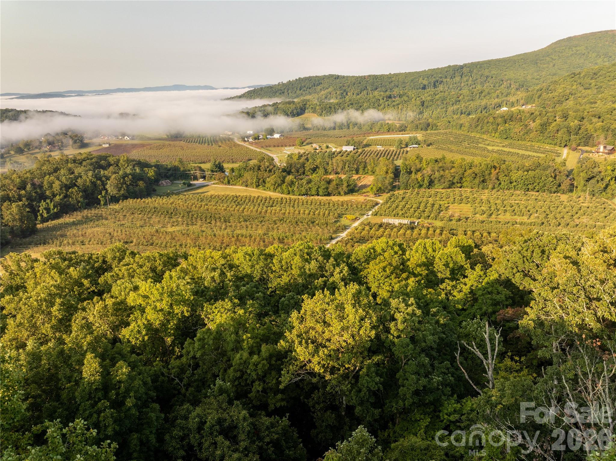 Tbd Old Clear Creek Road Hendersonville NC 28792