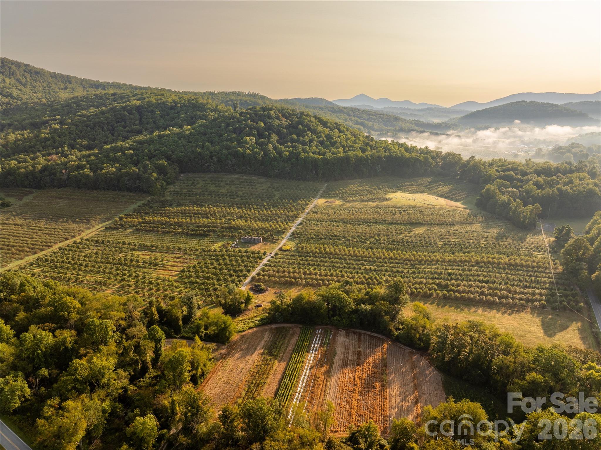 Tbd Old Clear Creek Road Hendersonville NC 28792