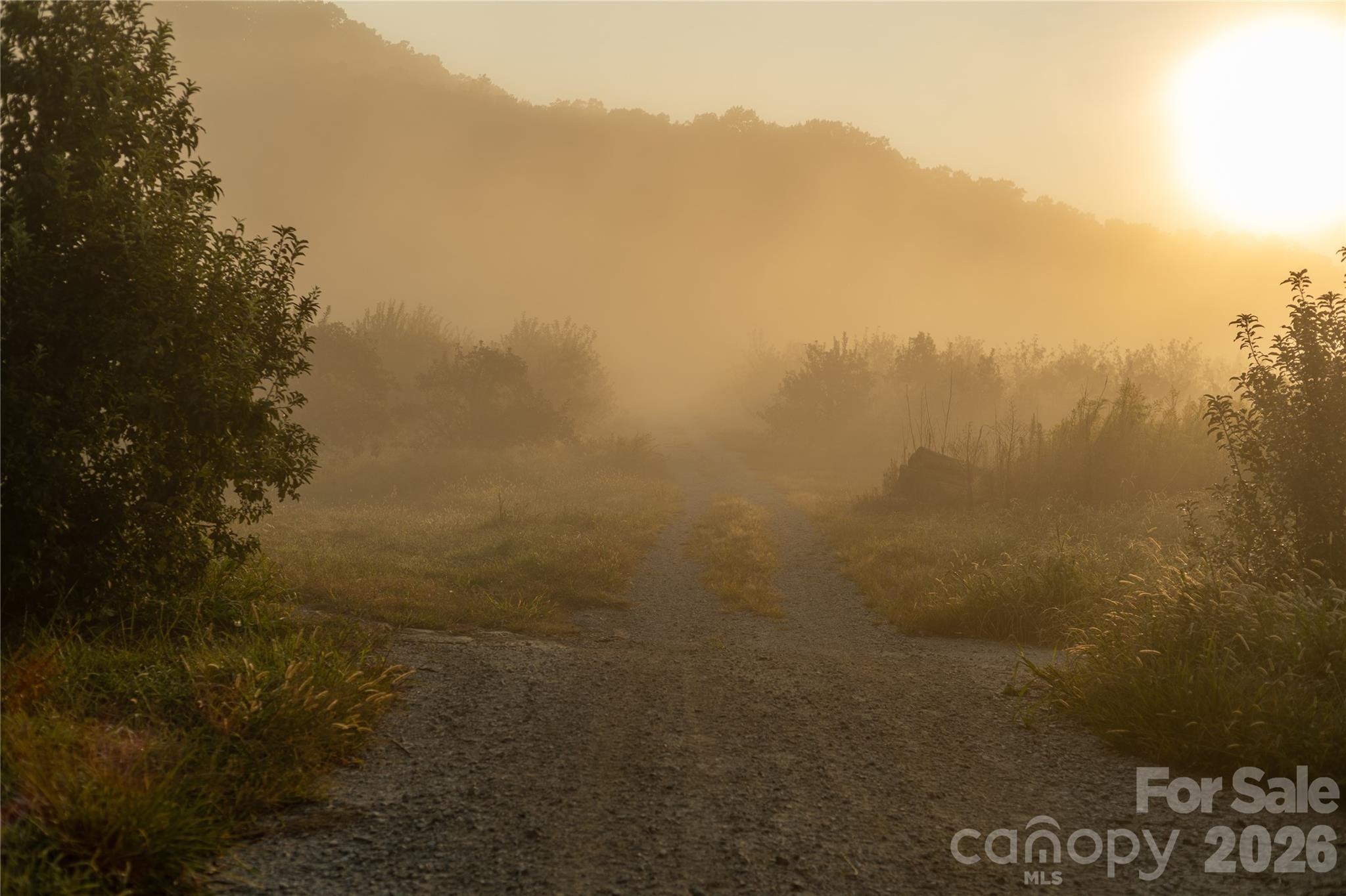 Tbd Old Clear Creek Road Hendersonville NC 28792