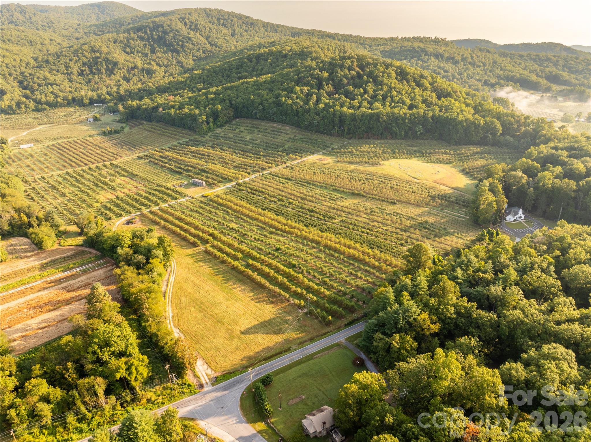 Tbd Old Clear Creek Road Hendersonville NC 28792