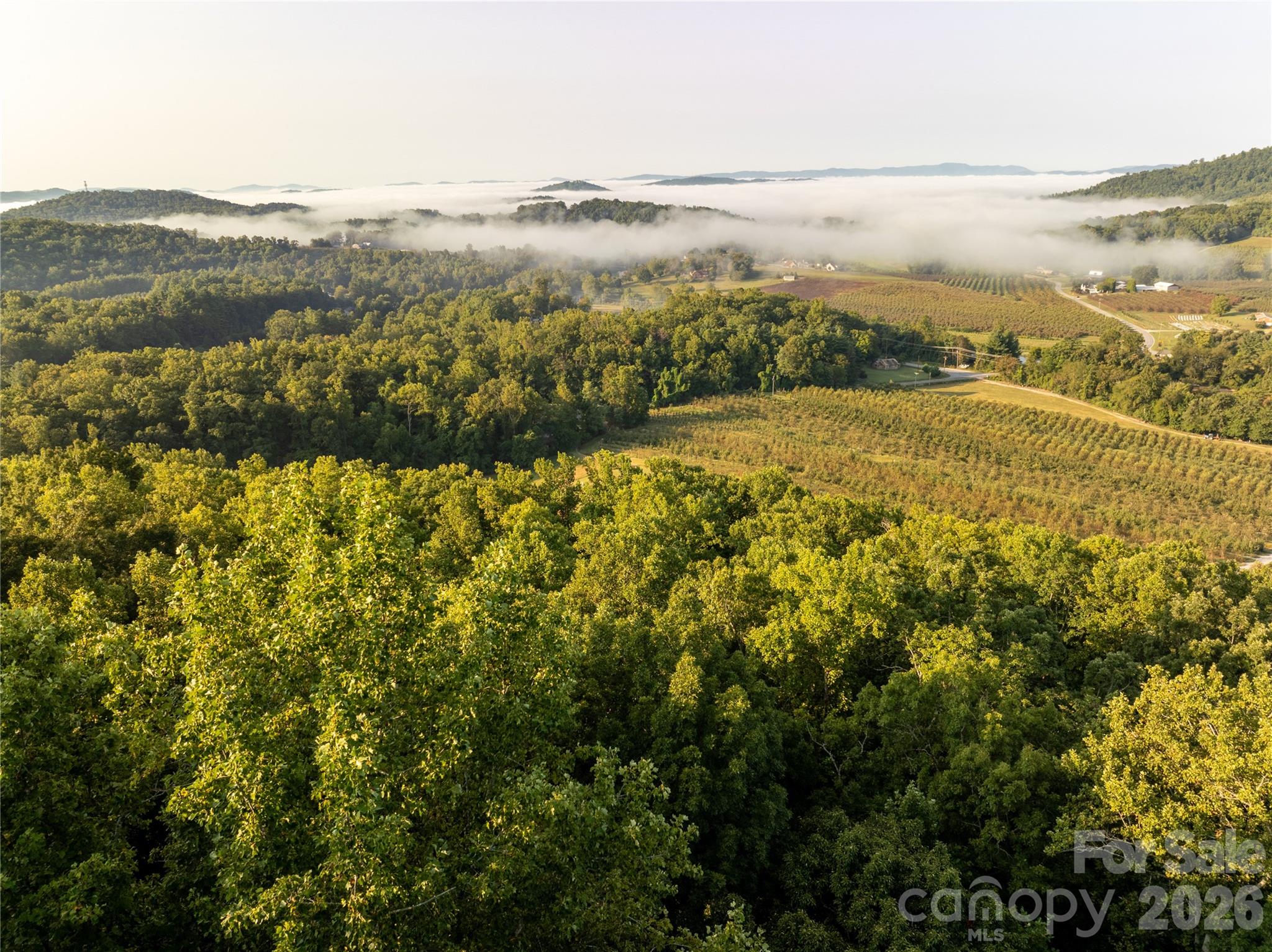Tbd Old Clear Creek Road Hendersonville NC 28792