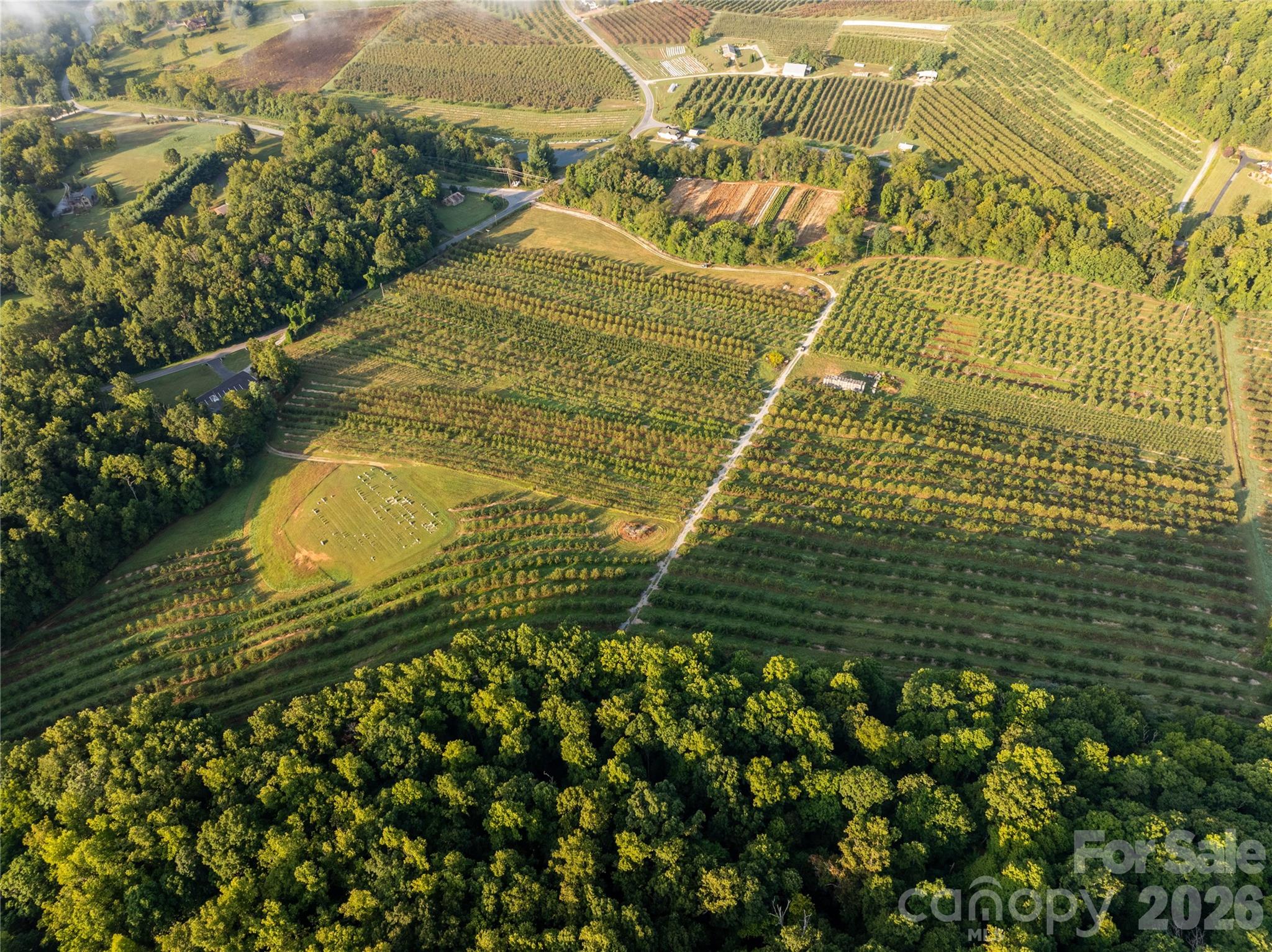 Tbd Old Clear Creek Road Hendersonville NC 28792