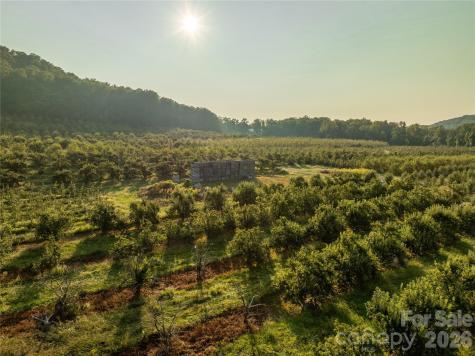 Tbd Old Clear Creek Road Hendersonville NC 28792