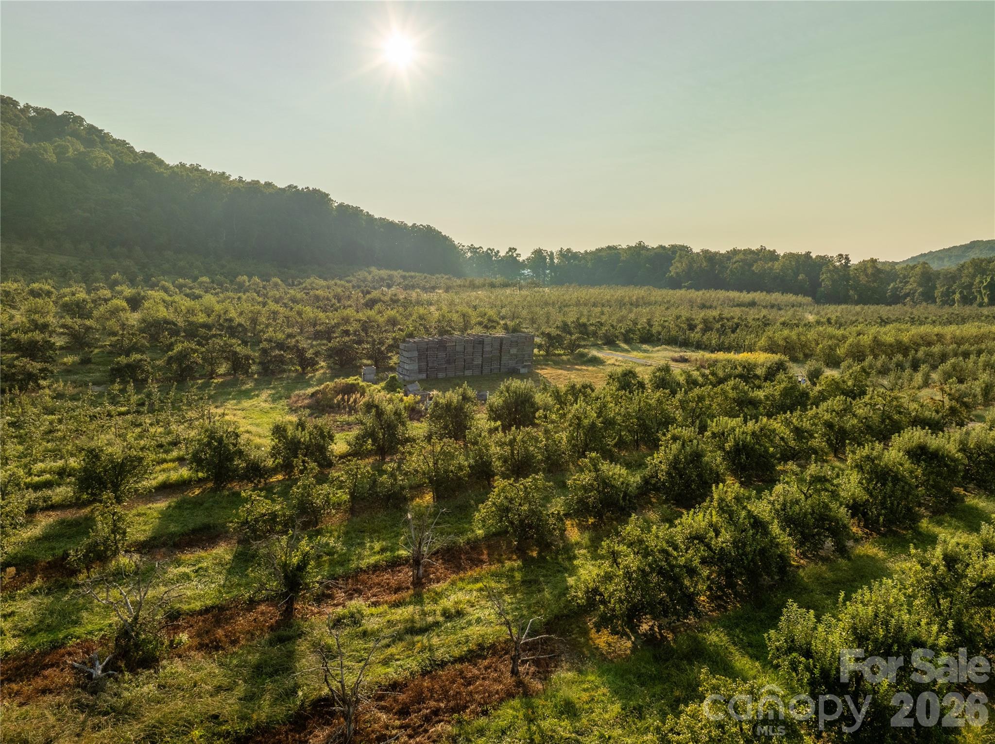 Tbd Old Clear Creek Road Hendersonville NC 28792
