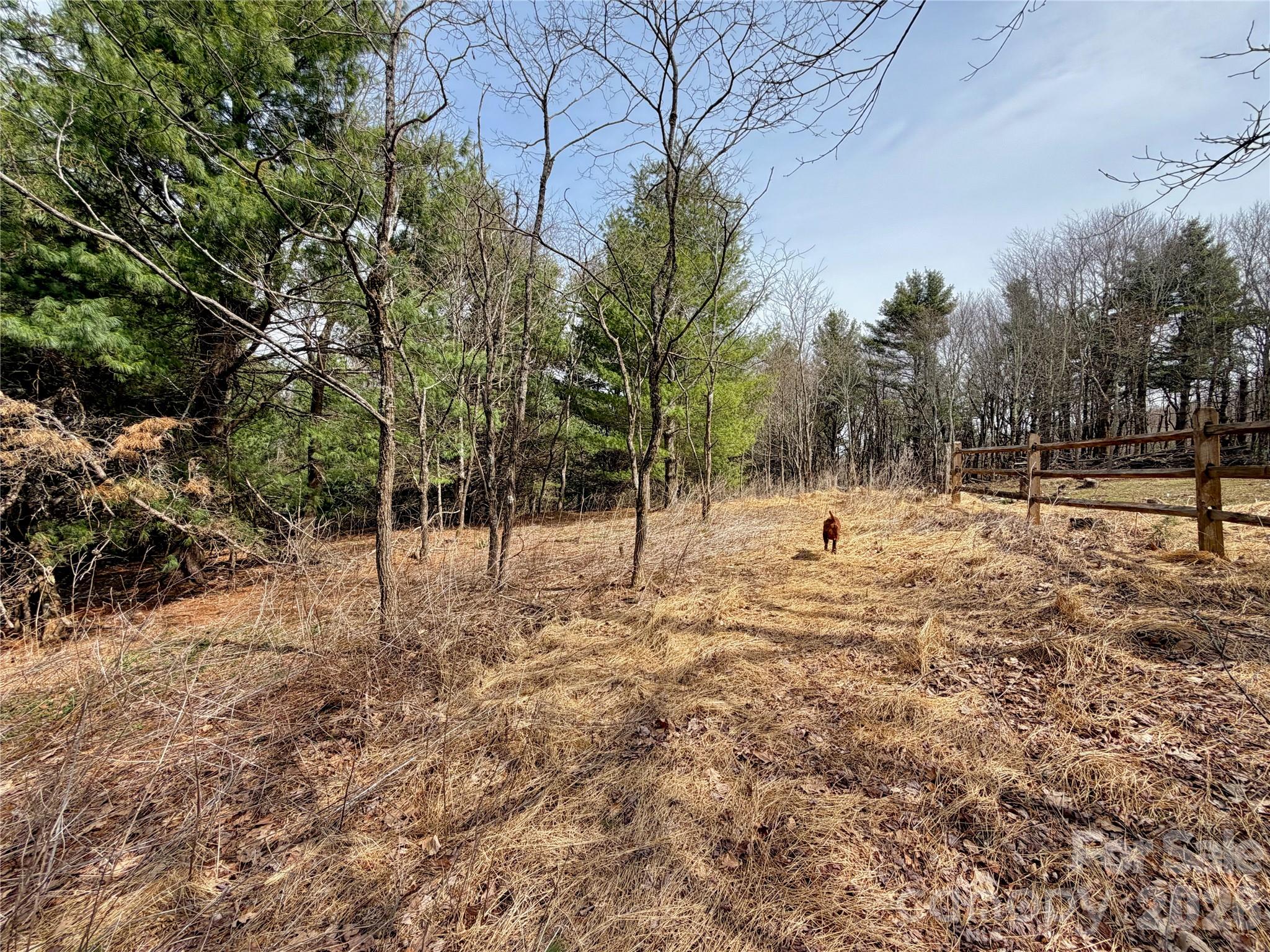 Tbd Grandview Drive Boone NC 28607
