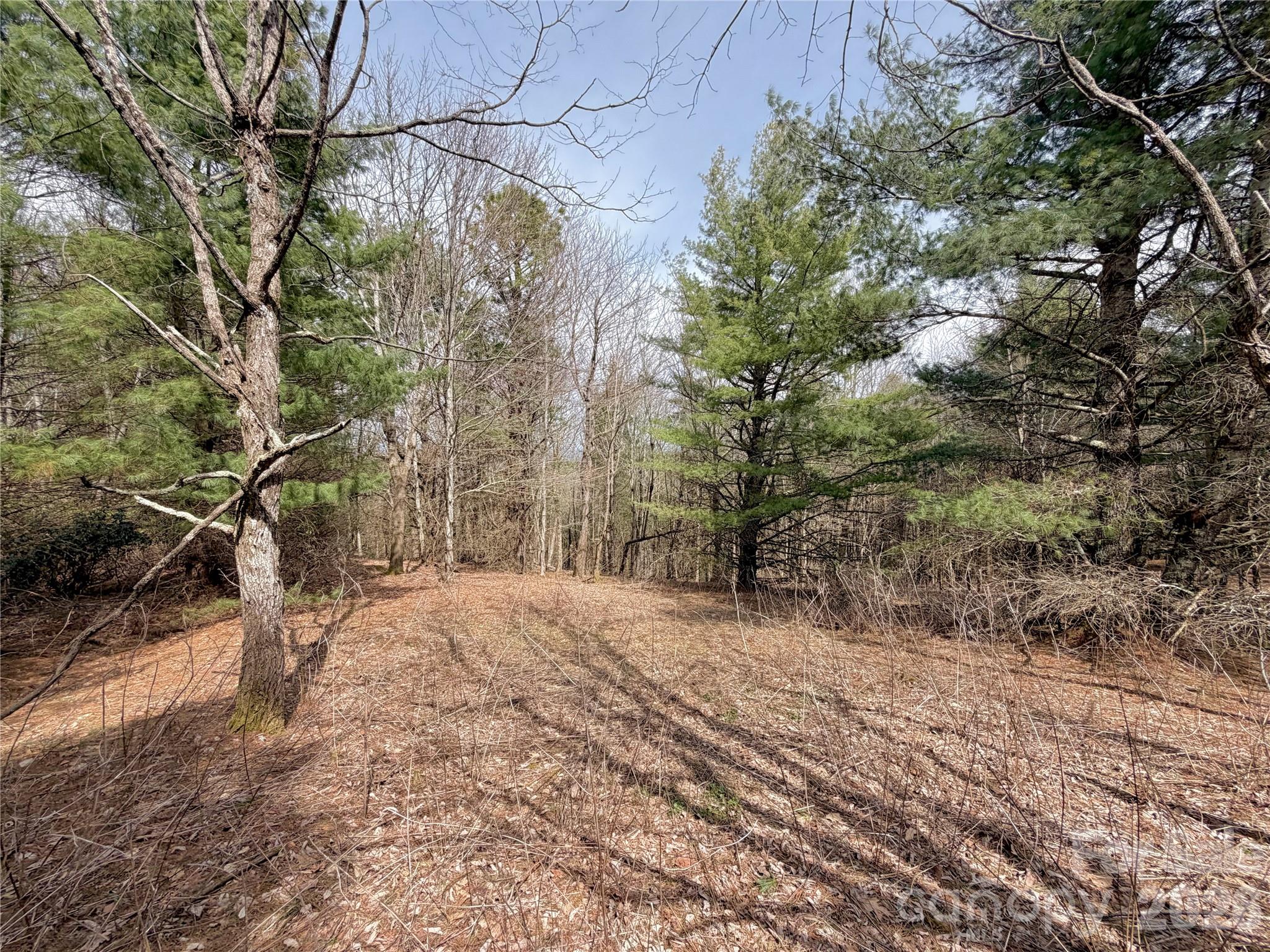 Tbd Grandview Drive Boone NC 28607