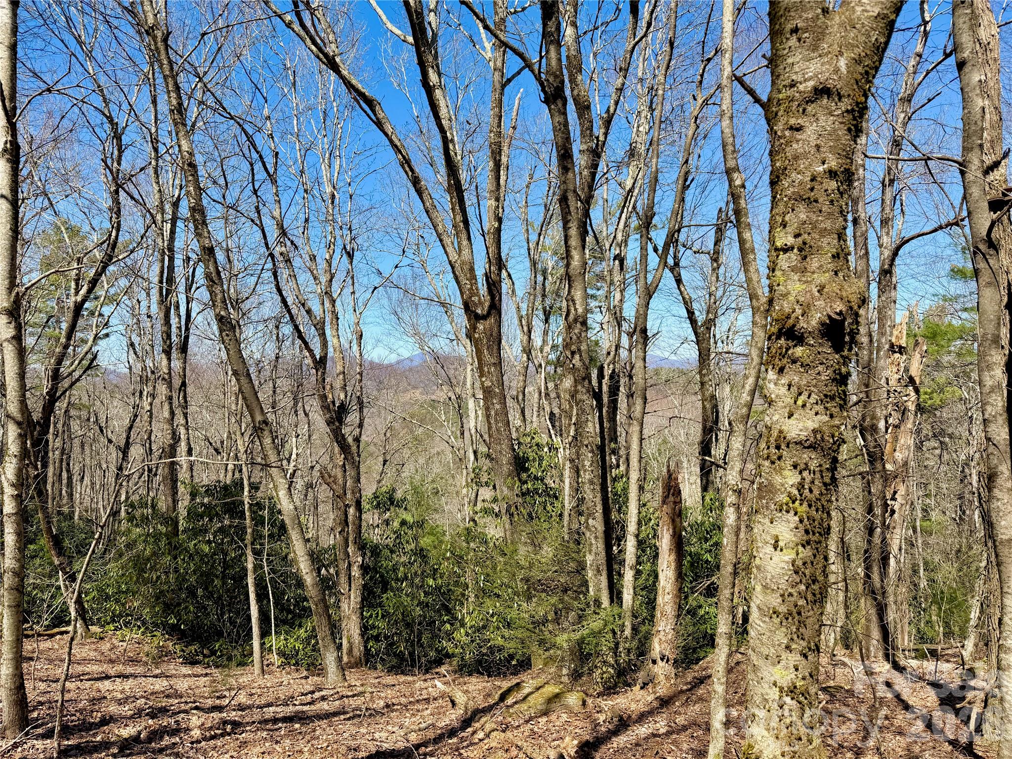 Tbd Grandview Drive Boone NC 28607