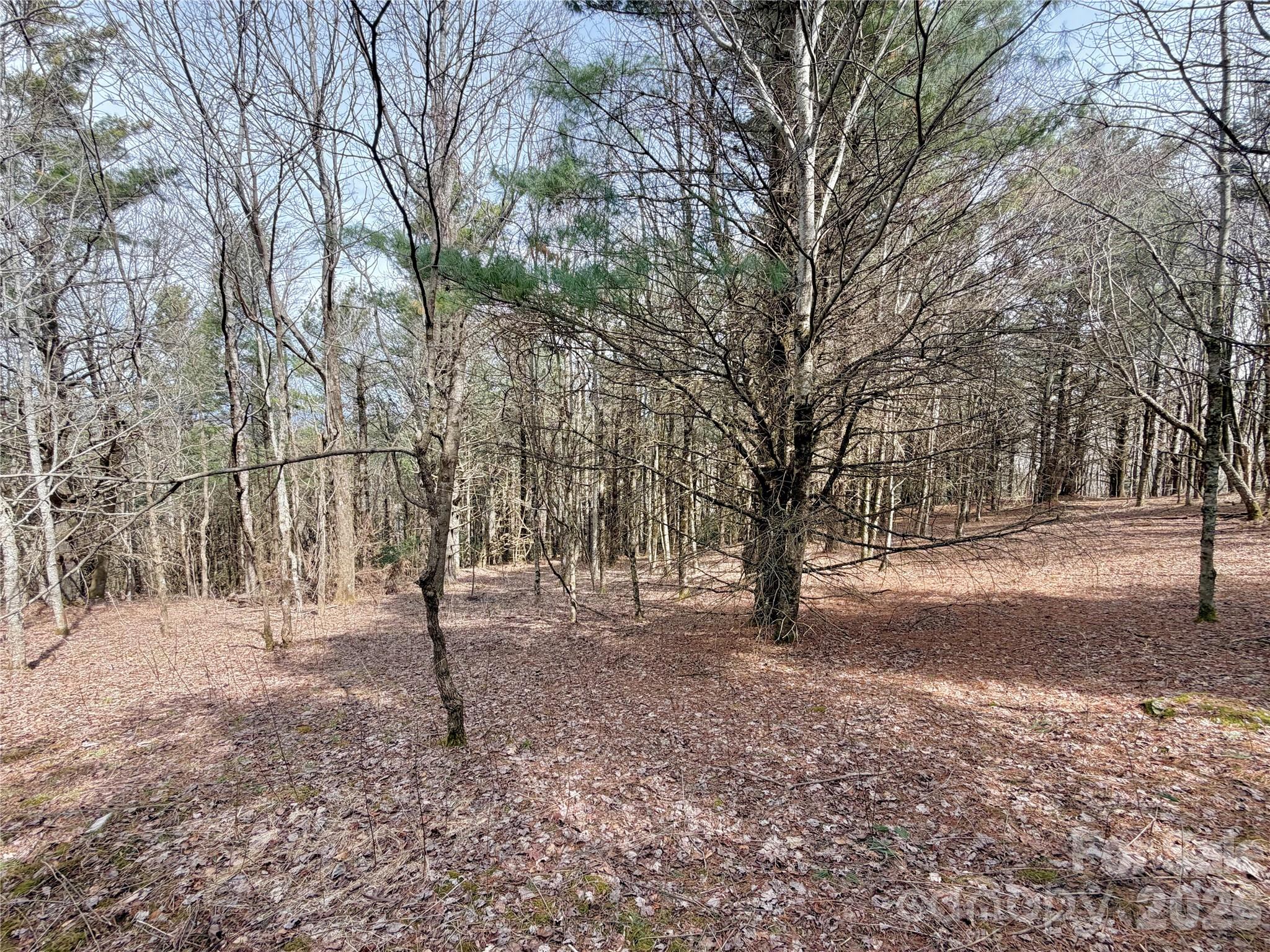 Tbd Grandview Drive Boone NC 28607