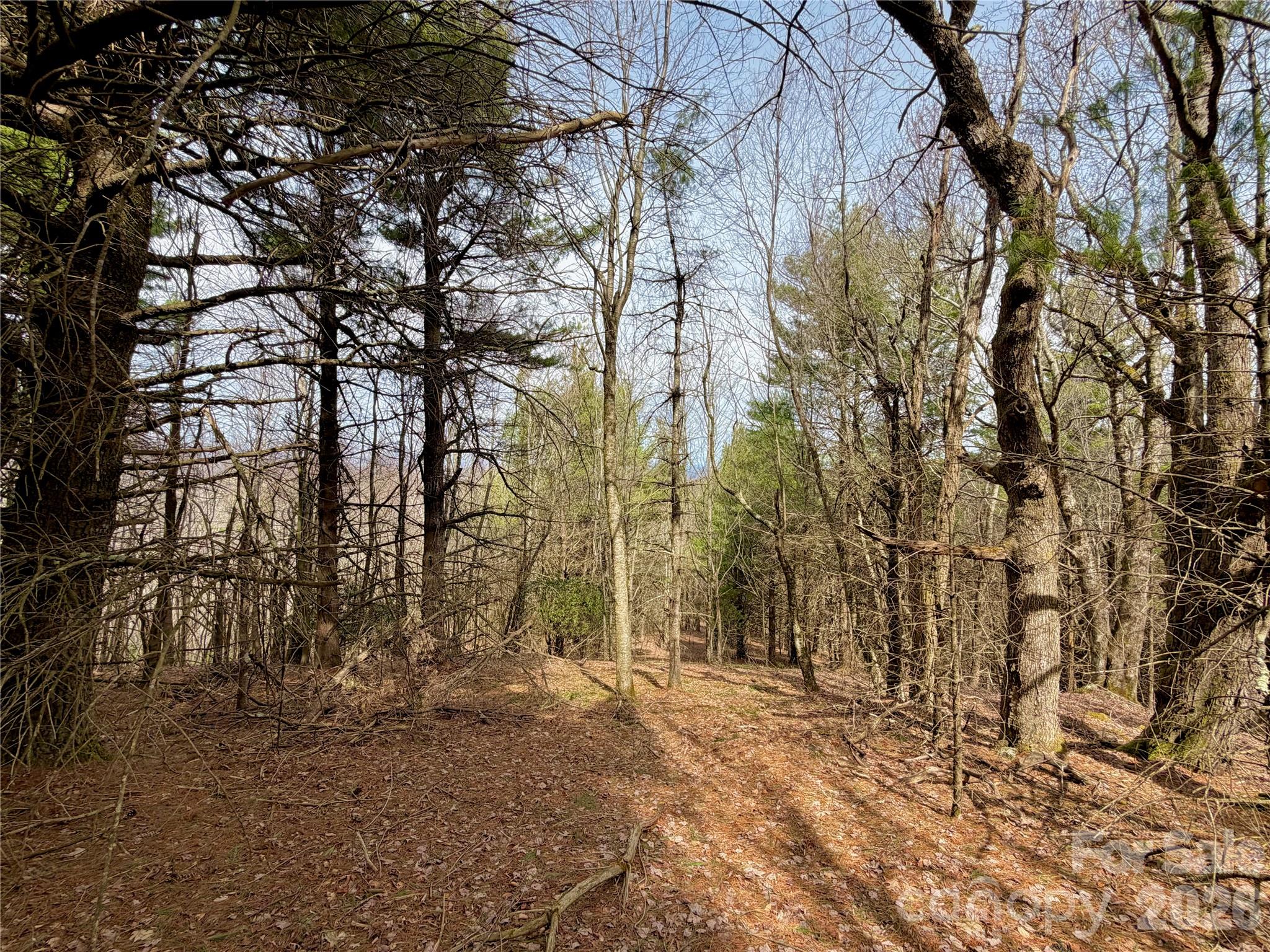 Tbd Grandview Drive Boone NC 28607