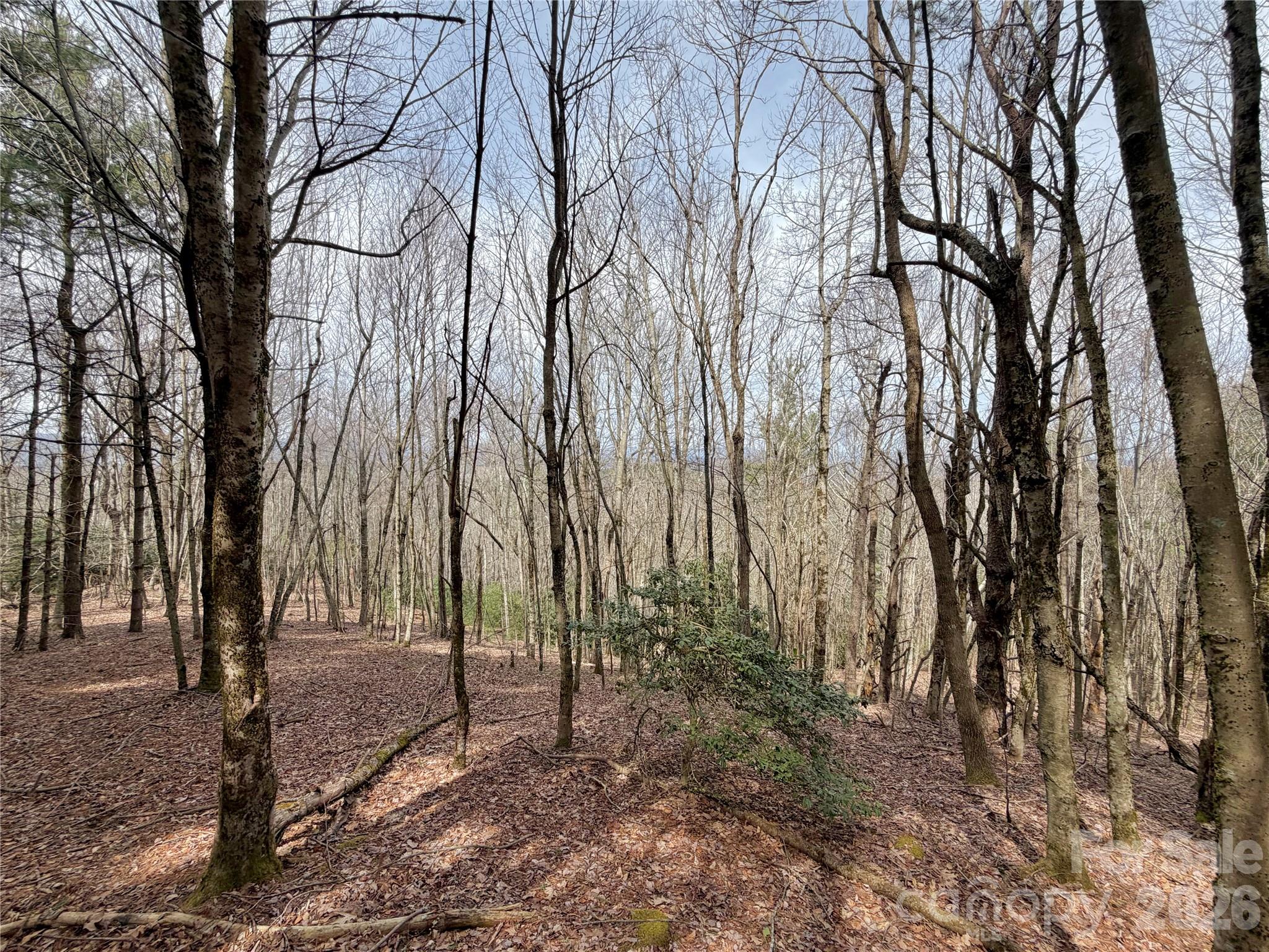 Tbd Grandview Drive Boone NC 28607