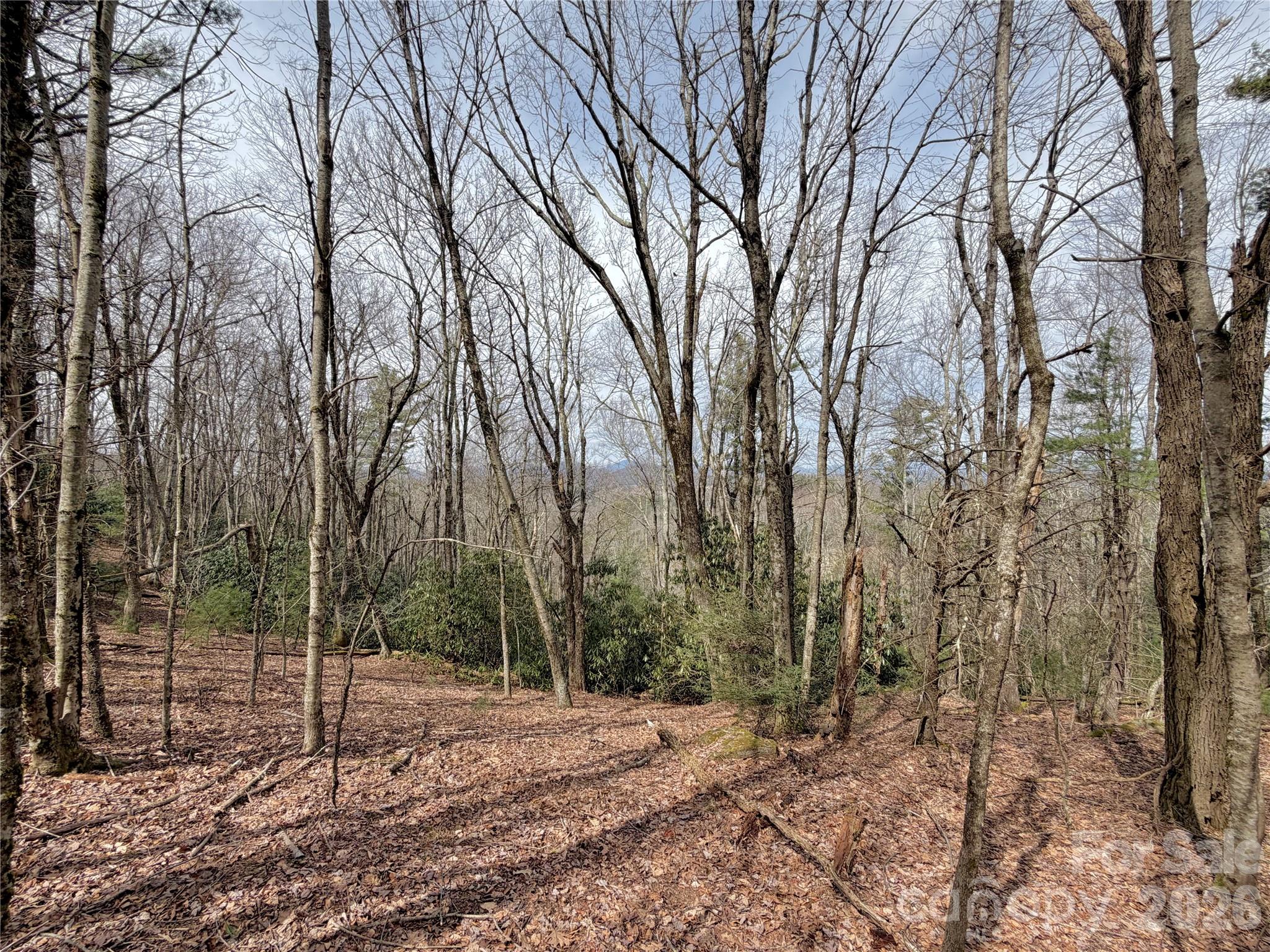 Tbd Grandview Drive Boone NC 28607