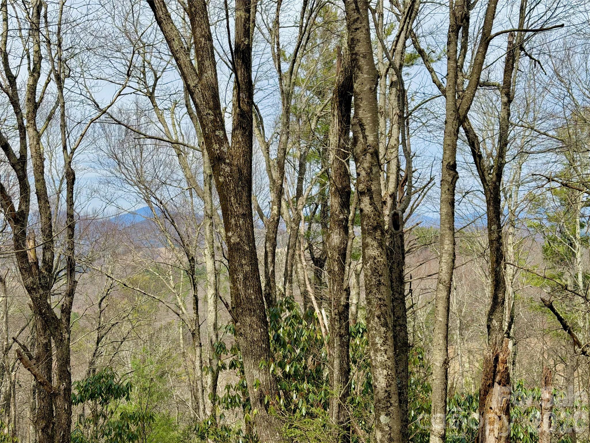 Tbd Grandview Drive Boone NC 28607
