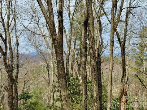 Tbd Grandview Drive Boone NC 28607